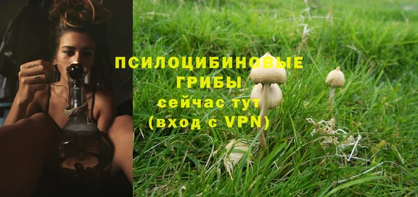 индика Балабаново